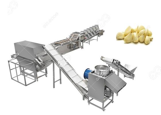 Porcellana Il CE ha certificato l'aglio commerciale che separa sbucciando la linea di produzione d'imballaggio il progetto della macchina di Peeler dell'aglio fornitore
