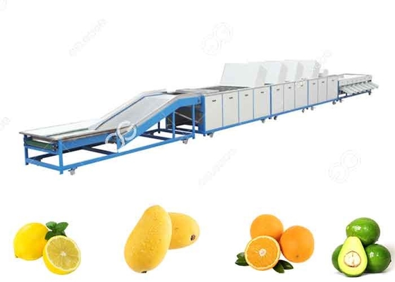 Porcellana frutta 1t/H-5t/H che lava la linea di lavaggio della frutta dell'attrezzatura per le esportazione della frutta fornitore