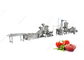 Linea di produzione industriale della pasta di pomodori dell'attrezzatura della macchina utensile della passata di pomodoro 1T/H fornitore