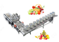 Linea di produzione completa automatica del succo di frutta per la norma del CE di Commerical fornitore