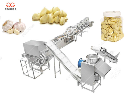 Porcellana Linea automatica della sbucciatura dell'aglio, aglio che separa e sbucciatrice fornitore