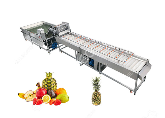 Cina Lavorazione della frutta di pulizia della macchina del grande ananas dell'uscita Equipment2T/H fornitore