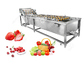 Attrezzatura di elaborazione lavante automatica della frutta e di verdura della rondella di verdura e della frutta fornitore
