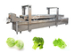 Alimento automatico che precuoce scottatura di verdure e che cucina macchina fornitore