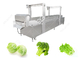 Alimento automatico che precuoce scottatura di verdure e che cucina macchina fornitore