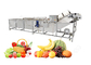 Lavatrice Australia della frutta dei produttori della lavatrice della frutta fornitore