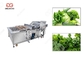 Lavatrice delle foglie verdi della lavatrice di ortaggi freschi 300-5000KG/H fornitore