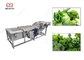 Lavatrice delle foglie verdi della lavatrice di ortaggi freschi 300-5000KG/H fornitore