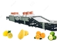 frutta 1t/H-5t/H che lava la linea di lavaggio della frutta dell'attrezzatura per le esportazione della frutta fornitore